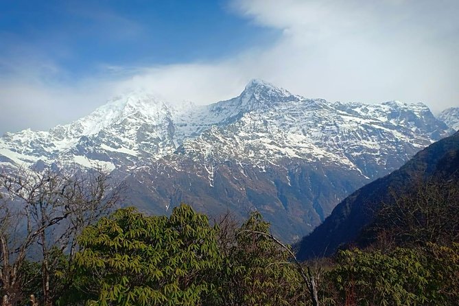 4 Days Mardi Himal Base Camp Trek - 4500 Meters - Day 2: High Camp at 3,550 m, bamboo and rhododendron country