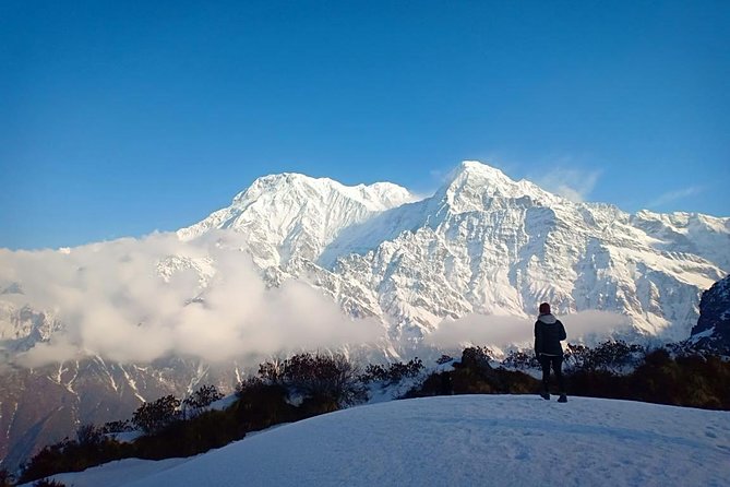 4 Days Mardi Himal Base Camp Trek - 4500 Meters - Day 4: Down to Sidding and back to Pokhara by shared jeep