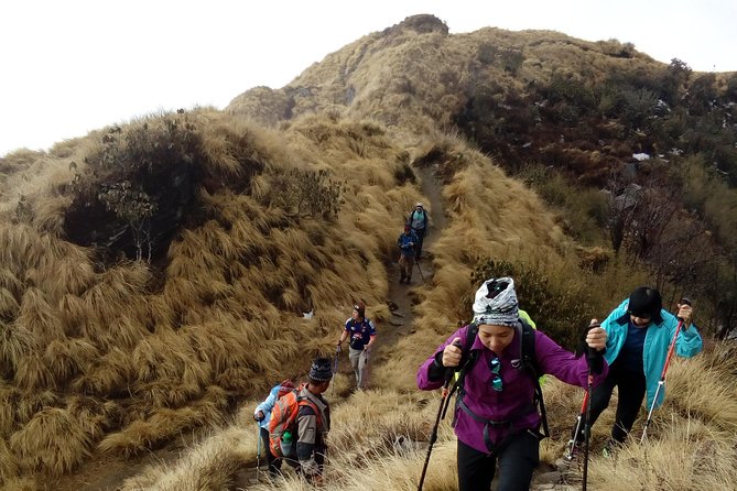 4 Days Mardi Himal Base Camp Trek from Pokhara - Key highlights worth your attention