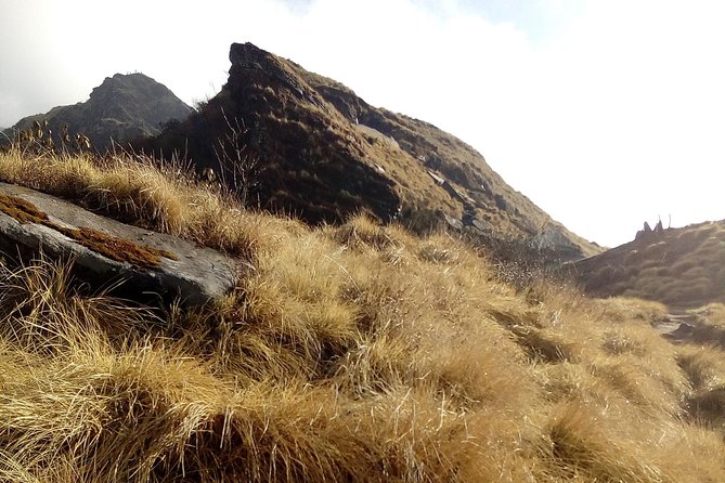4 Days Mardi Himal Base Camp Trek from Pokhara - Why Mardi Himal Base Camp is a great target in a short trip