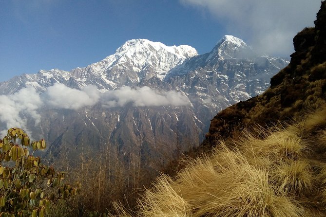 4 Days Mardi Himal Base Camp Trek from Pokhara - Base Camp morning: pushing to 14,763 feet for Fishtail and the Annapurna sweep