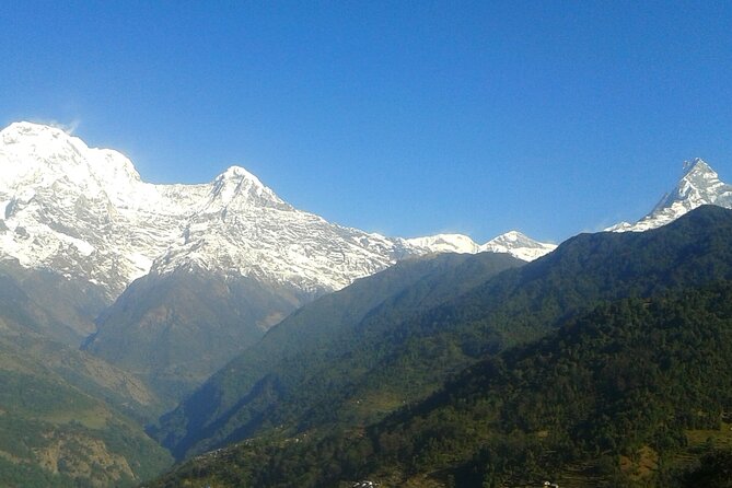 4 Days Mardi Himal Base Camp Trekking in Pokhara - Mardi Himal Base Camp Trekking from Pokhara, the “quiet views” choice