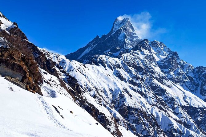 4 Days Mardi Himal Base Camp Trekking in Pokhara - Day 2: Forest Camp to High Camp through rhododendron country