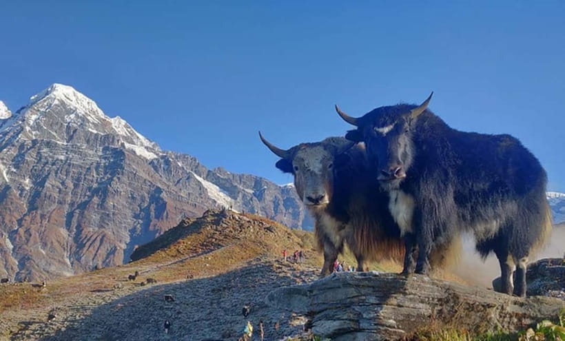 4 Days Pikey Peak Trek : The Best View of Mt Everest - Price and value: what $350 covers, and what you still need to budget