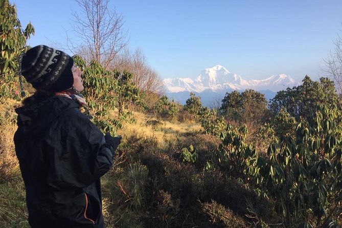 4 Days Poon Hill Trek - Poon Hill sunrise at 3,210 meters, without the altitude grind