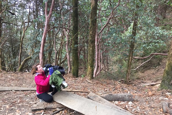 4 Days Poon Hill Trek - Private transport and a start time that keeps things simple