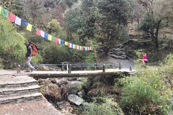 4 Days Poon Hill Trek - Guesthouses, cleanliness, and what “basic” really means