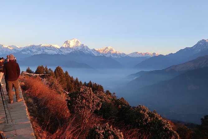 4 Days Poon Hill Trek from Pokhara - Why Poon Hill is worth your 4 days from Pokhara