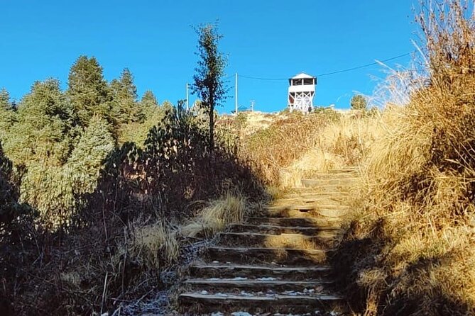 4 Days Poon Hill Trek from Pokhara - The guide experience, why names like Gobinda and Krishna keep coming up