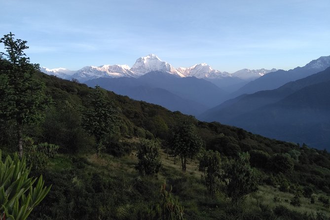 4Nights 5Days PoonHill Trek - Why Poon Hill sunrise is the reason you book this trek
