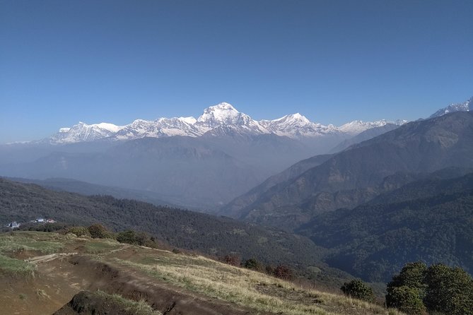 4Nights 5Days PoonHill Trek - Day two to Ghorepani: river and forest walking with mountain views
