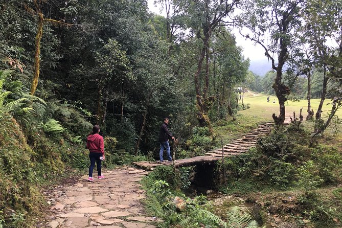 4WD Drive to Dhampus and Easy Hiking to Australian Camp from Pokhara - Phedi Khola: The First Scenic Stretch From Your Pokhara Hotel