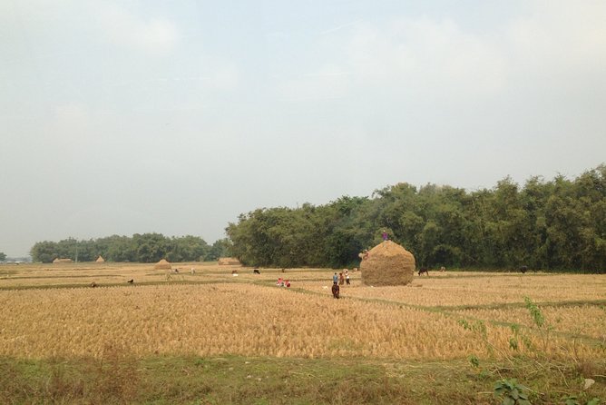 5-Day Private Farming Experience in Nayapul with Accommodation - Key highlights you’ll feel from Day 1