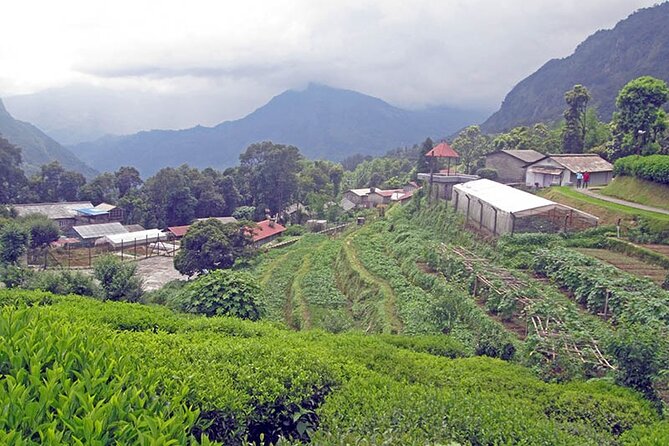 5-Day Private Farming Experience in Nayapul with Accommodation - The Pokhara to Nayapul transfer, and what that first hike sets up