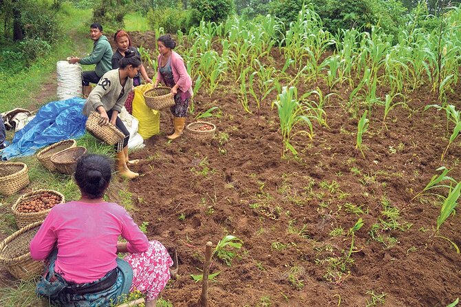 5-Day Private Farming Experience in Nayapul with Accommodation - Day 2: seasonal farming coaching, then seeing it in the field