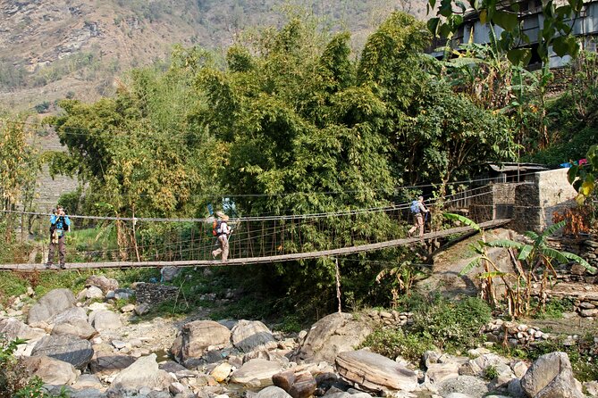 5-Day Private Farming Experience in Nayapul with Accommodation - Day 5: the farewell, certificate in Pokhara, and a gentler ending