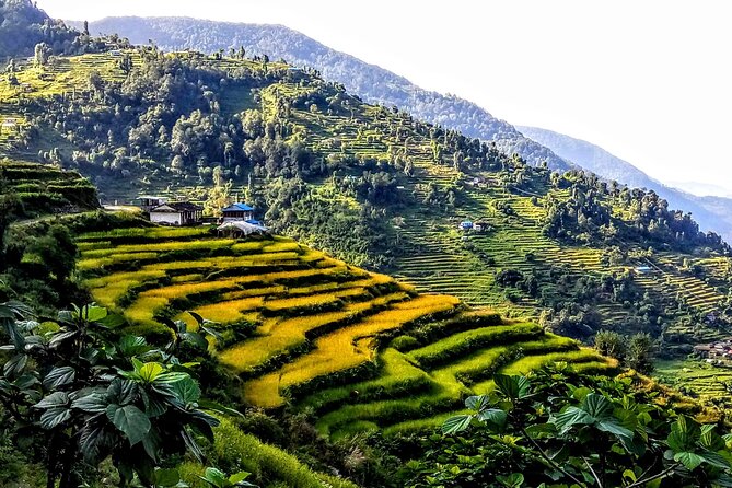 5-Day Private Farming Experience in Nayapul with Accommodation - Who this fits best, and who should think twice