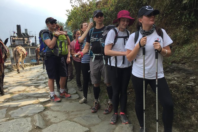 5 Days Annapurna Mountain View Trekking from Pokhara, Nepal - Day 1: Nayapul to Ulleri, the first uphill test