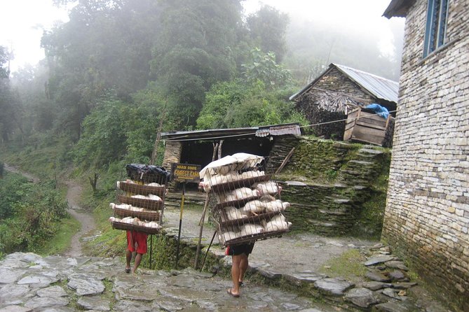 5 Days Mardi Himal Base Camp Trek - Why Mardi Himal Feels Special on a 5-Day Schedule