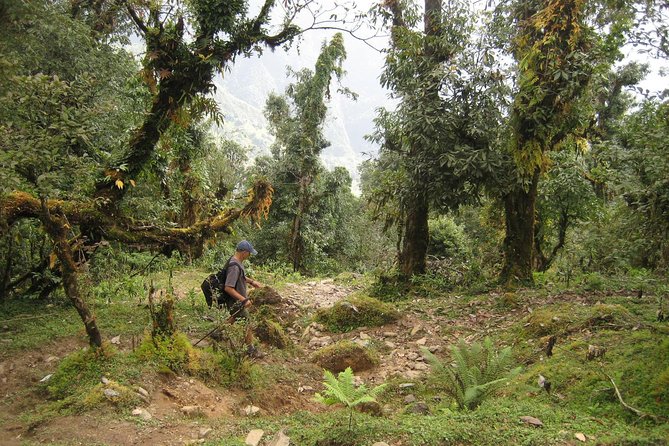5 Days Mardi Himal Base Camp Trek - Day 3: High Camp, with Fishtail, Annapurna, and Himchuli in View