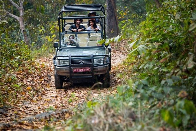 5 night / 6 days Kathmandu Nagarkot Chitwan Pokhara tour - Day 3: Chitwan National Park, jeep safari and canoeing