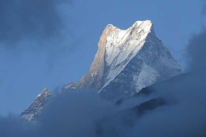 6 days Annapurna Basecamp Trek - Your guide and support system on the trail