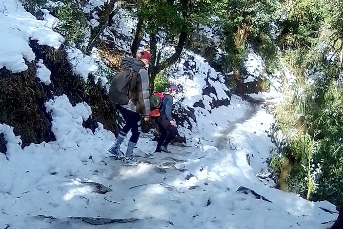 6 Days Poon Hill - Ghandruk Circuit Trek from Kathmandu - Key highlights I’d plan around