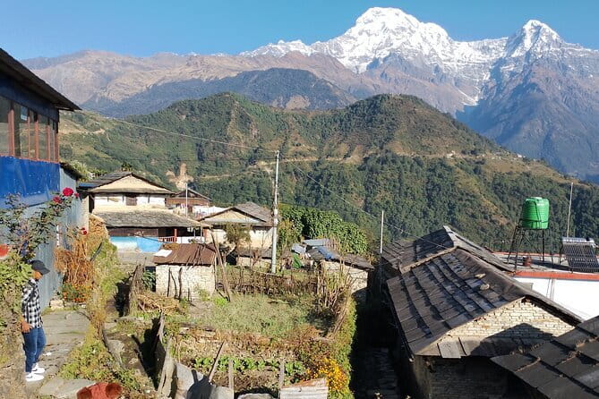 7-Day Trek to Annapurna Base Camp from Pokhara - Day-by-day: Ghandruk to Upper Sinuwa, then into the ABC zone