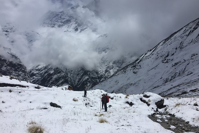 7 Days Annapurna Base Camp Trek from Pokhara - Price and Logistics, Is $287.92 Good Value?