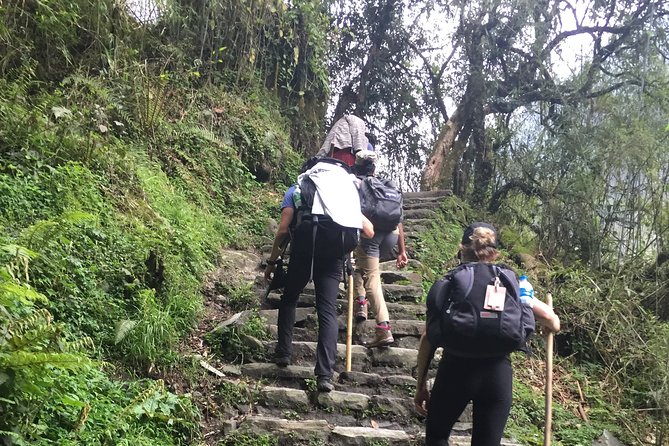 7 Days Annapurna Base Camp Trek from Pokhara - Why the Included Guide and Permits Matter More Than You Think