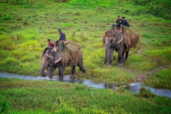 7 Days Nepal Adventure Tour - Day 7: Scenic Drive Back to Kathmandu and Your Departure Buffer