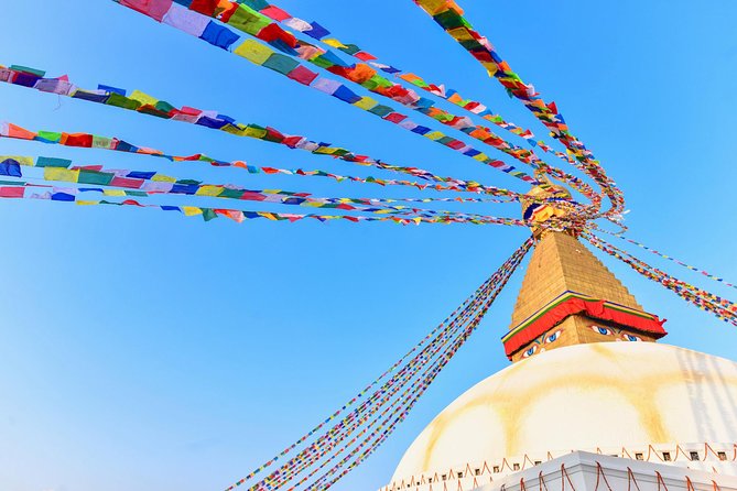 8 Days Nepal Tour (Kathmandu, Pokhara, and Chitwan Tour) - Chitwan National Park day: canoe, jungle walk, and jeep safari
