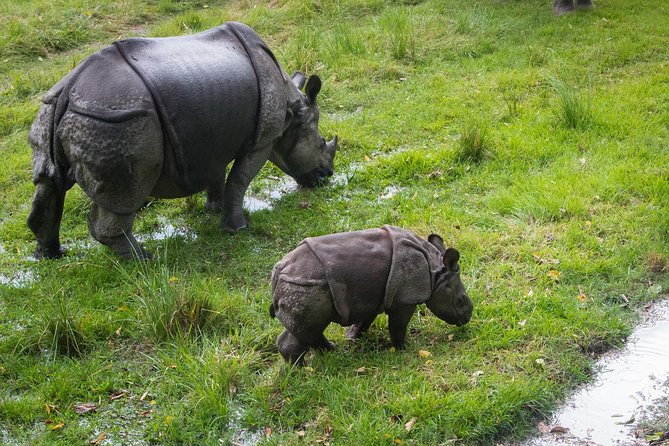 8 Days Nepal Tour (Kathmandu, Pokhara, and Chitwan Tour) - How the trip ends: transfers back toward Kathmandu or Pokhara