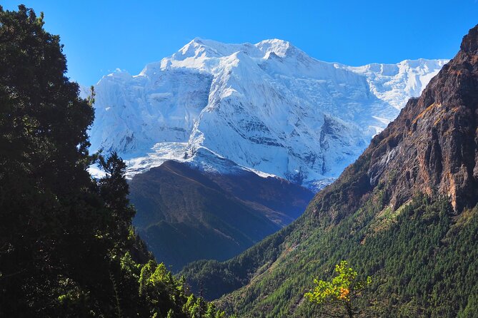 8 Days Private Guided Trekking in Annapurna Circuit with Pickup - Day 3: Ngawal Views, Then the Manang Base Camp Feel