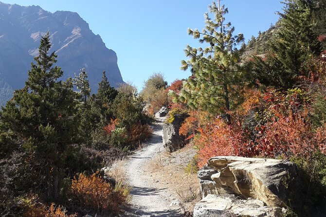 8 Days Short Trek and Tour in Nepal - A smart rhythm: city temples, hill towns, then Annapurna views