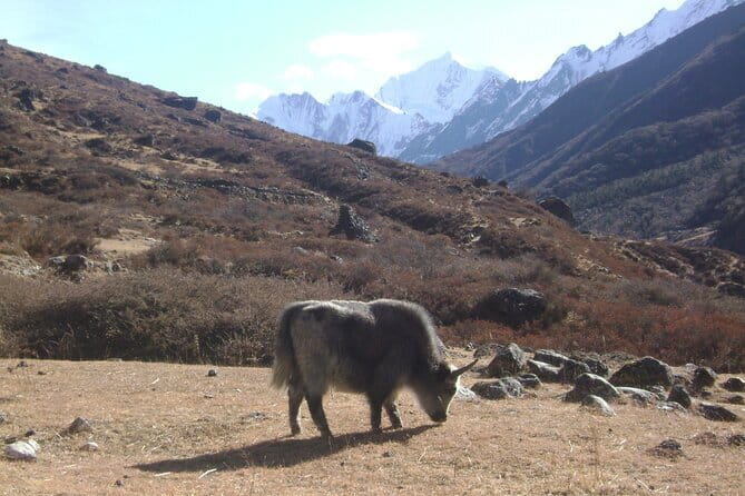 9 Days LANGTANG VALLEY TREKKING IN NEPAL - Kathmandu to Syabrubesi: getting into Langtang National Park mode