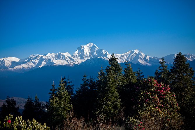 9 Days short and Easy Ghorepani Poonhill Trekking in Nepal - Price and What Your $800 Covers (and What It Does Not)