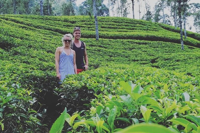 Adam's peak (Sri pada) Waterfalls tour - The Swimming Moment: How to Plan for Water and Comfort