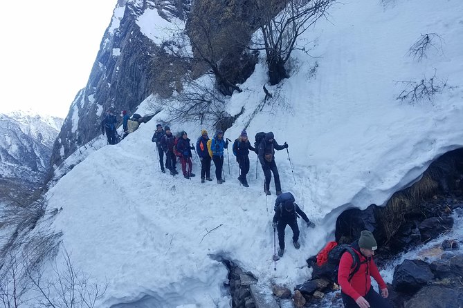 Adventurous Annapurna Base Camp Trekking - The day you reach Annapurna Base Camp, snow walls and a real amphitheater