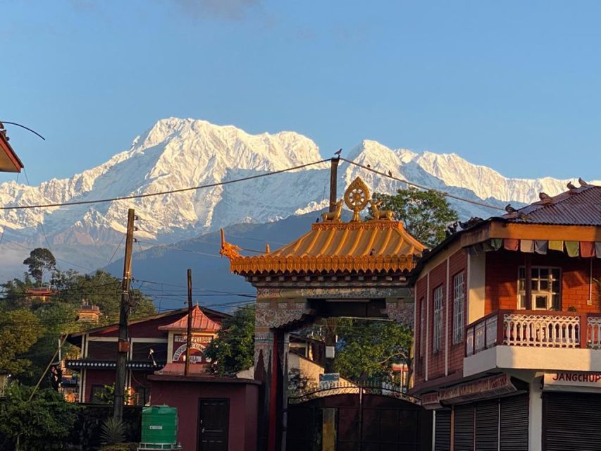 Afternoon Tibetan cultural tour - Afternoon prayer chanting: sound, instruments, and stillness