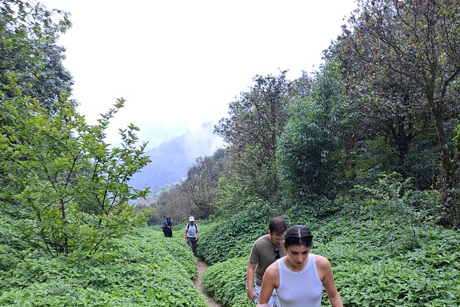 Amazing 1 Day Trekking Experience in Kathmandu Nepal - Price and value: what $130 really covers