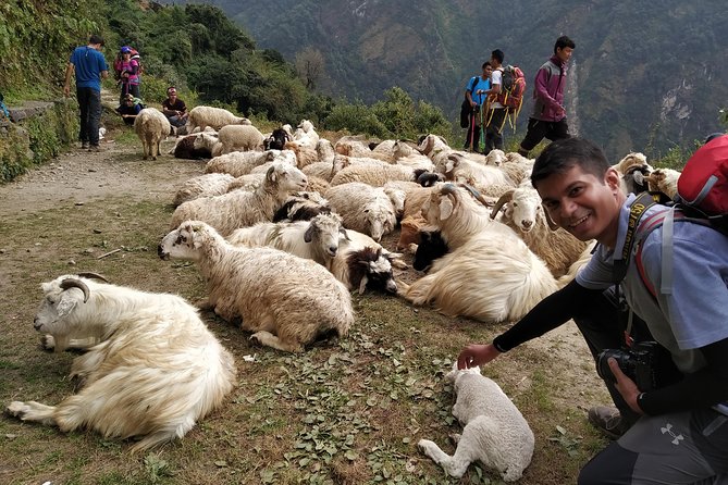 Annapurna: 2 Days 1 Night Poon Hill Trekking - A 2-Day Poon Hill Trek That Fits Real Life