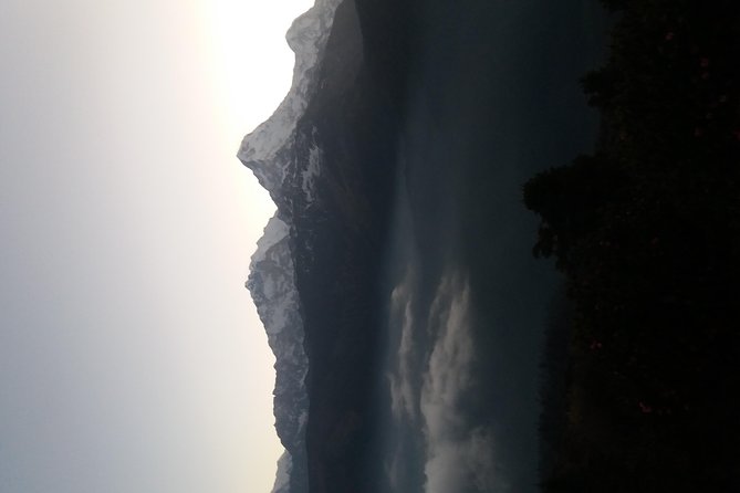 Annapurna: 2 Days Poon Hill Trek from Pokhara - Price and value: what $230 really covers (and what you must plan for)