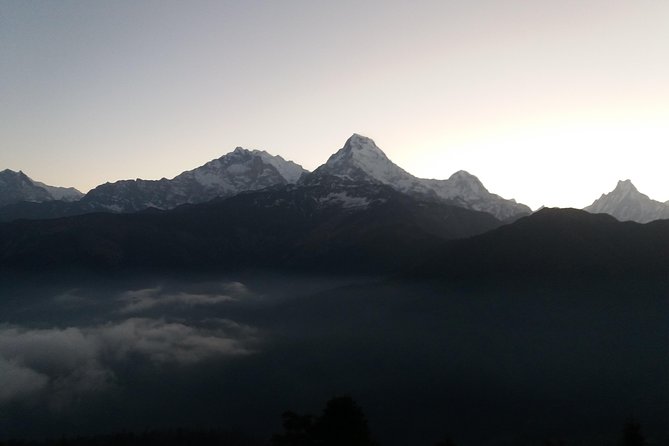 Annapurna: 2 Days Poon Hill Trek from Pokhara - Day 1: Jeep to Tirkhedhunga, then rhododendron stairs toward Ghorepani