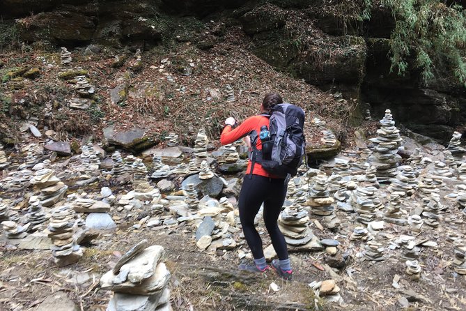 Annapurna: 3 Days Poon Hill Trek (to Kimche & from Hile with 4WD) - Day 1: Kimche to Ghandruk to Tadapani, with Gurung village charm