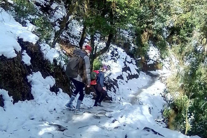 Annapurna: 5 Days Poon Hill Circuit Trek from Pokhara - Key highlights you will actually care about
