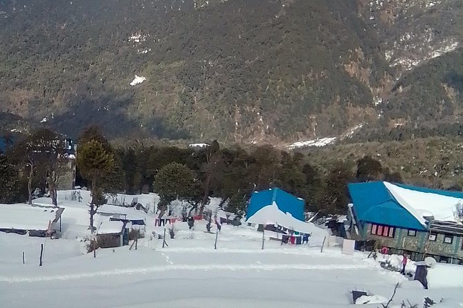 Annapurna: 5 Days Poon Hill Circuit Trek from Pokhara - Jhinu Danda hot spring, recovery with a side of relief