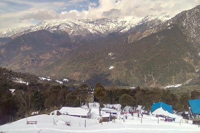 Annapurna: 5 Days Poon Hill Circuit Trek from Pokhara - Rhododendron forests and the slow build toward the viewpoint