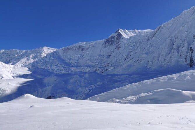 Annapurna Base Camp 7 Days Trek from Pokhara - Day-by-day: the trek’s rhythm, what you’ll see, and what to watch for