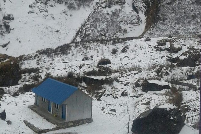 Annapurna base camp -9 days - Chhomrong to Landrung and the Forest-to-Fields Feel
